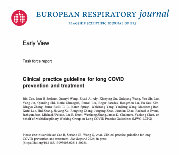 Guidelines 2026-05-19 a las 13.07.46